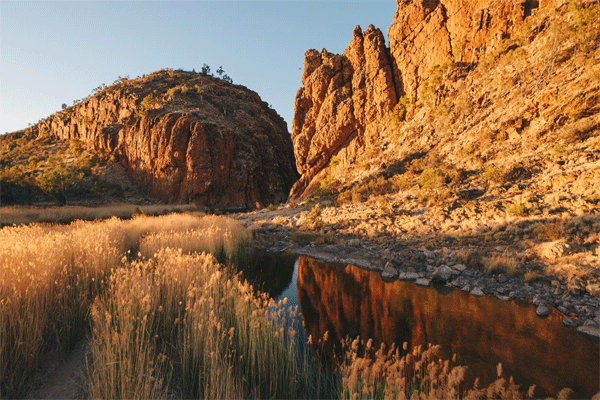 THE-GHAN-Alice-Springs-Explorer-excursions