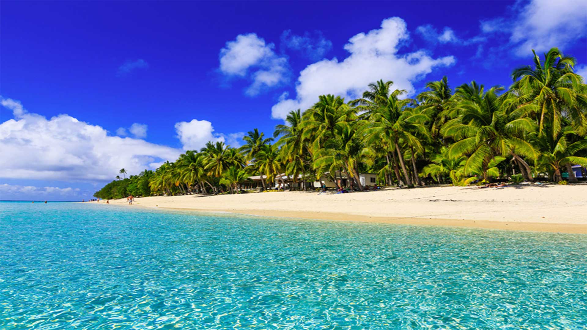 FIJI-HOLIDAY-DEALS-beach-palm-trees
