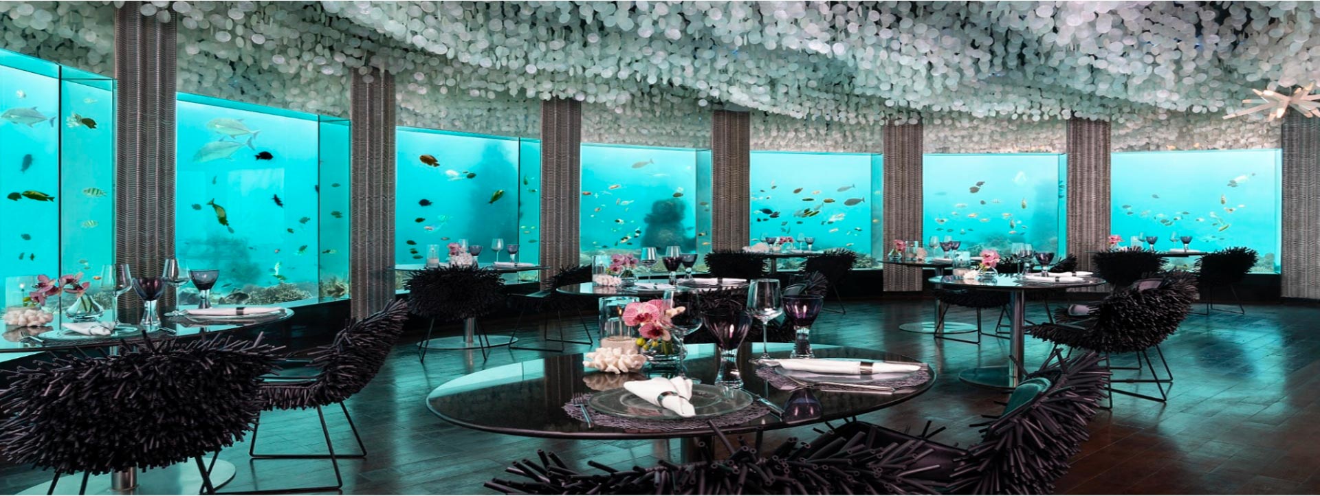 NIYAMA-ISLAND-underwater-restaurant