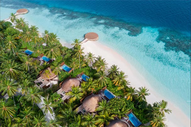 W-MALDIVES-palm-trees-villas-and-ocean
