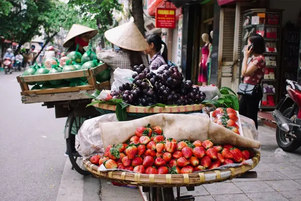 ALL-VIETNAM-fruits
