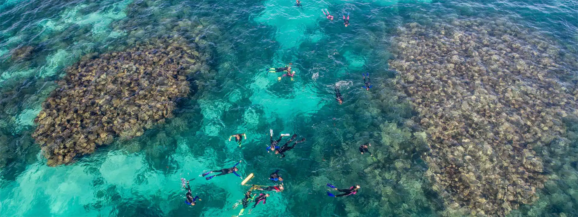 CORAL-BAY-ECO-TOURS-snorkelling-drone-photo