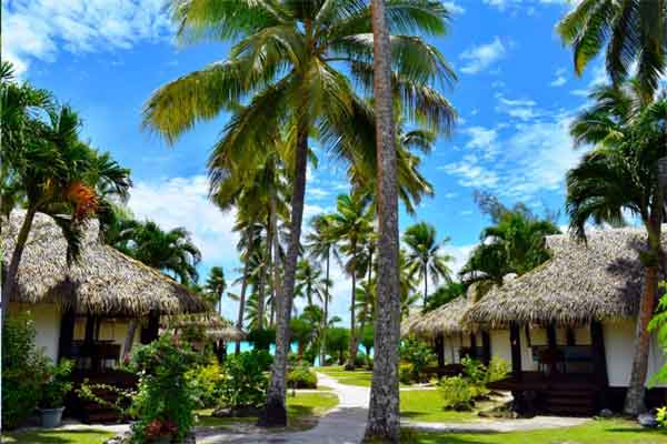 TAMANU-BEACH-RESORT-COOK-ISLANDS-palm-trees-and-villas