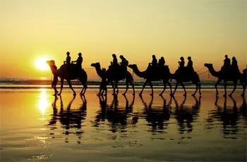CAMEL RIDES BROOME copy