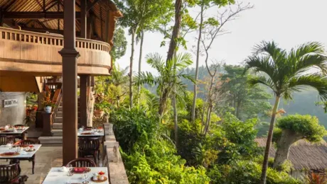 PITA MAHA RESORT UBUD BALI DEAL image PITA MAHA RESORT UBUD BALI DEAL image