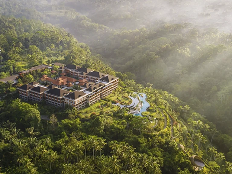 PADMA-UBUD-BALI-HOLIDAY-PACKAGE-view-above