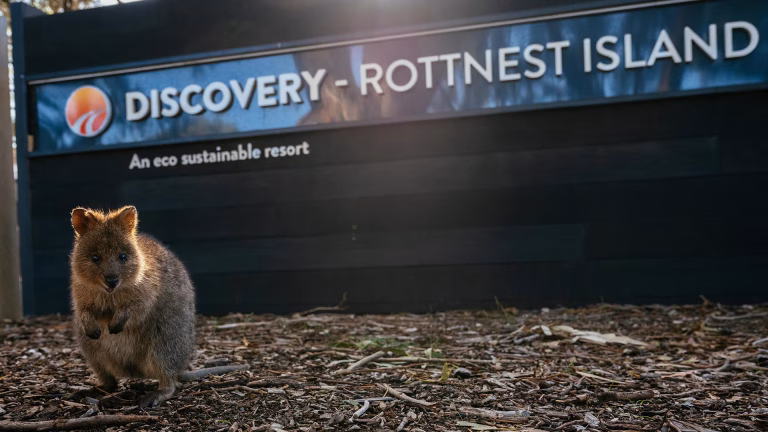 DISCOVERY RESORTS ROTTNEST ISLAND Quoka