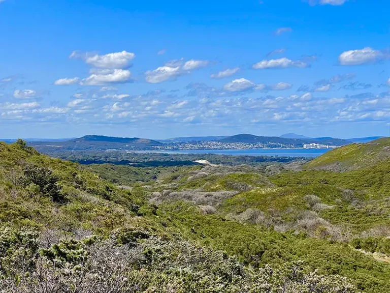 ALABANY BAY VIRE in distance