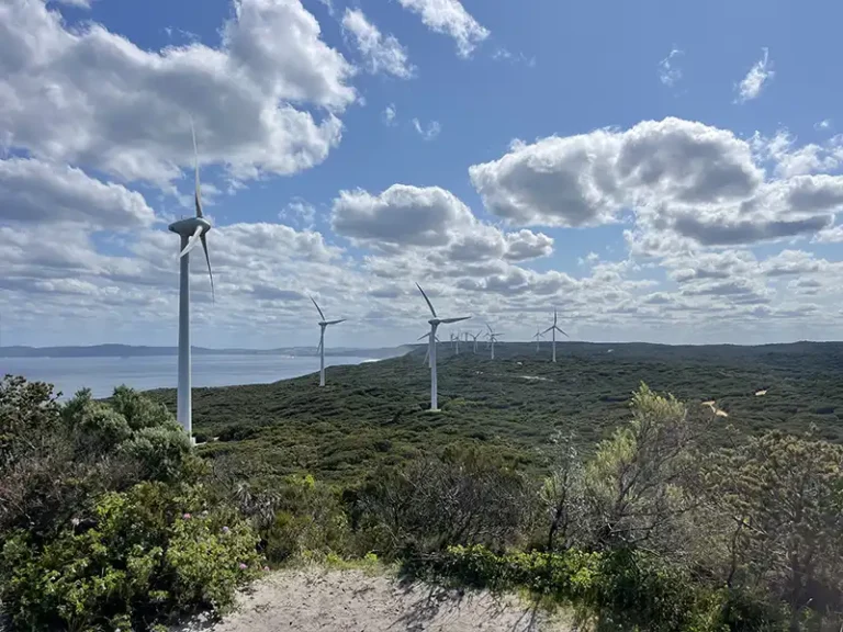 SANDPATCH Albany wind turbines