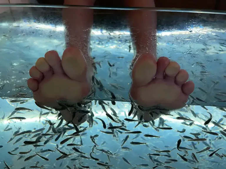 NUSA DUA feet cleaning fish