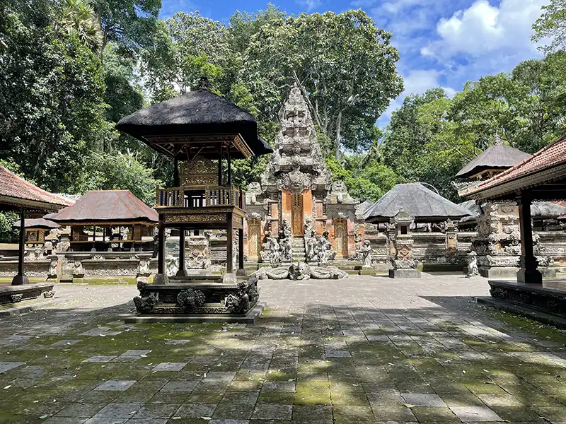 UBUD BALI monkey forest temple area